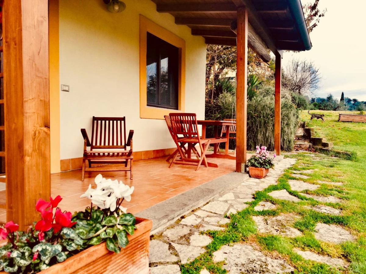 La Casa Nettarina Vendégház Poggio Mirteto Kültér fotó